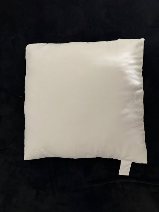 20x20 Pillow